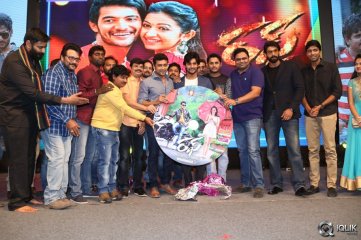 Rough Movie Audio Launch